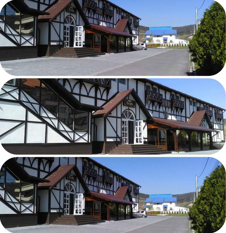 Vip Motel Restaurant Хацег Екстер'єр фото